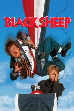 Watch Black Sheep movies online free