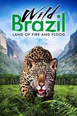 Watch Wild Brazil movies online free