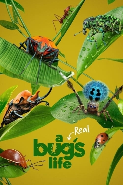 Watch A Real Bug's Life movies online free