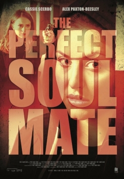 Watch The Perfect Soulmate movies online free