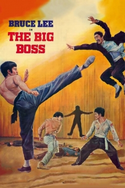 Watch The Big Boss movies online free